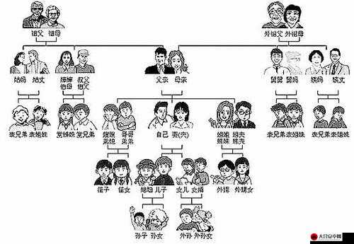 全面解析家族系统，资料概览、成员关系与传承规则详解